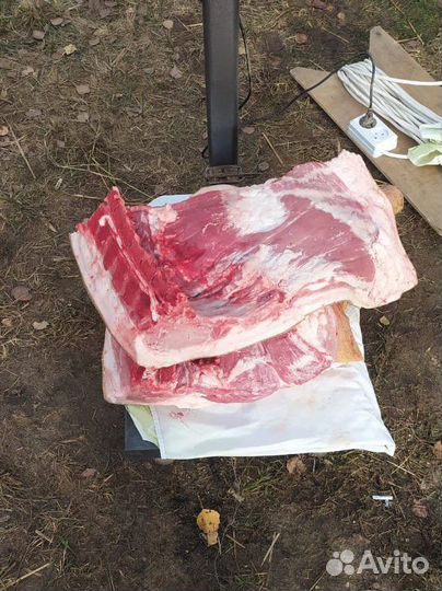 Мясо свинины,домашнее