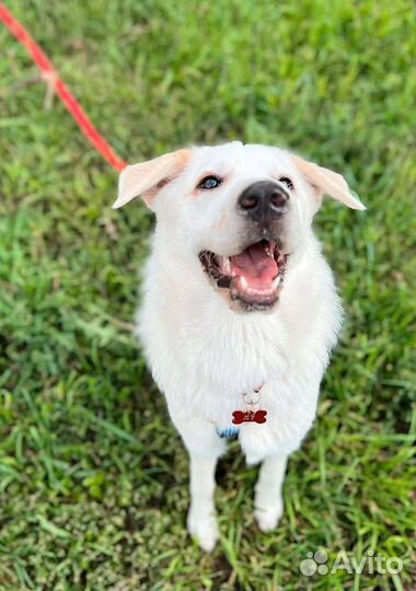 Лу, малышка, ищет маму