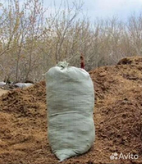 Навоз свининой