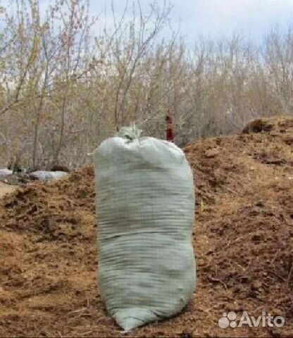 Навоз свининой