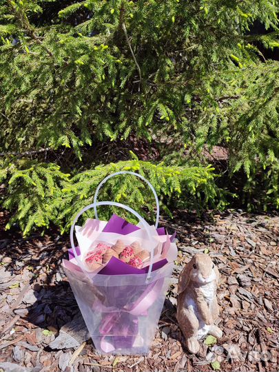 Клубника в бельгийском шоколаде