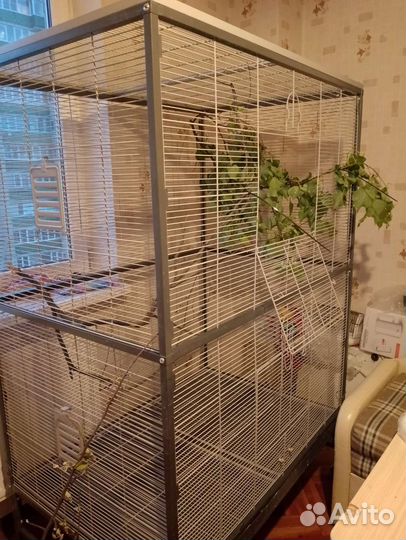 Клетка вольер для птиц