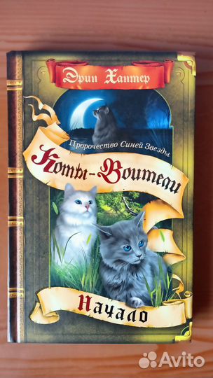 Коты воители Начало