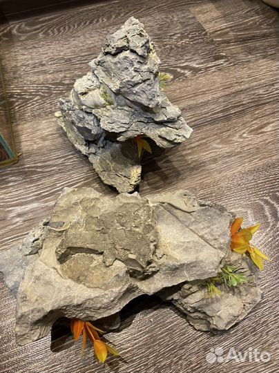 Аквариум 10 и 20л, фильтр,камни,ракушки,домики