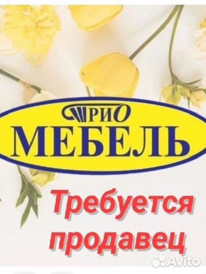 Продавец консультант мебели