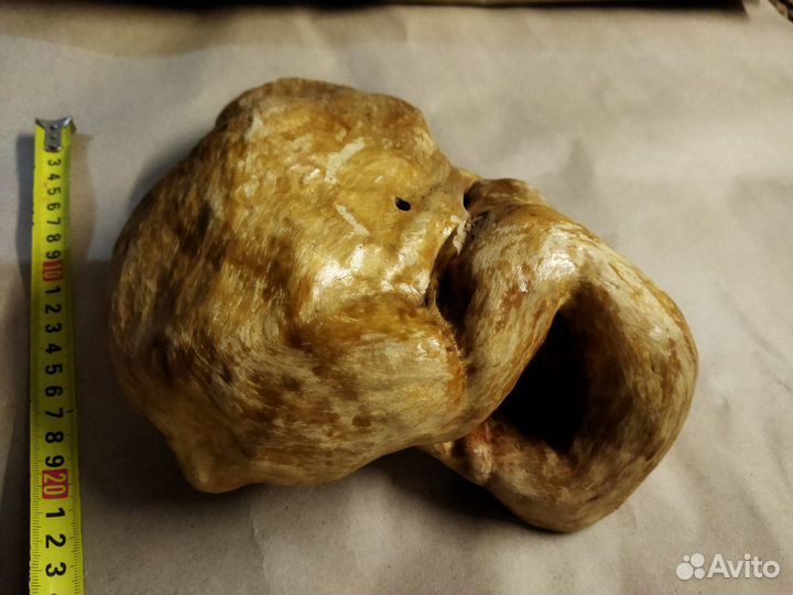 Березовый кап в интерьер