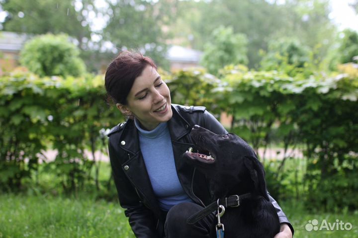 Кинолог, специалист по поведению собак