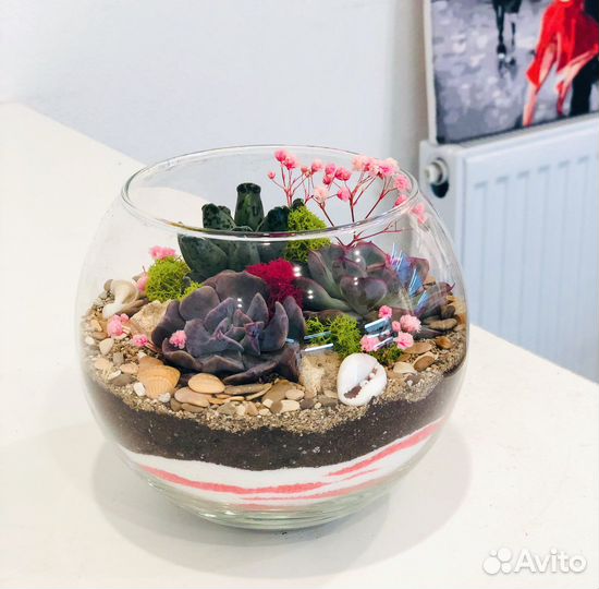 Флорариум с суккулентами