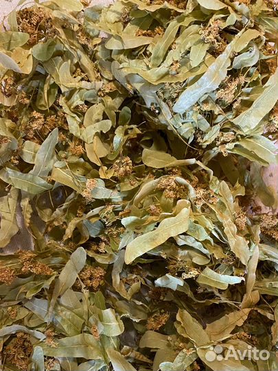 Липа сушеная цветки и листья из Чувашии 2023