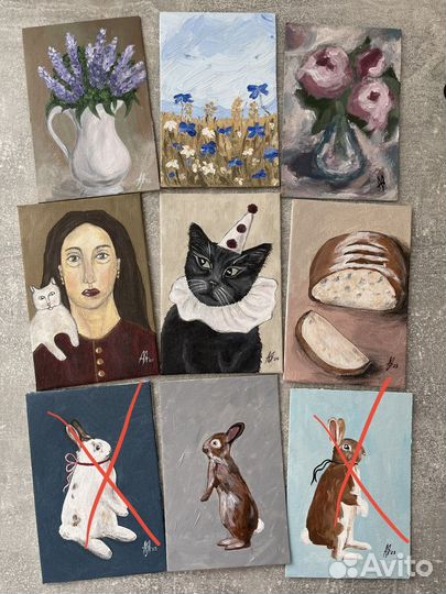 Картины этюды Кот,Заяц,Цветы 10х15 и 20х15
