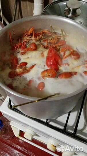 Донской рак