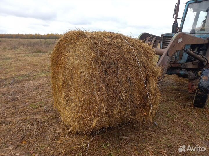 Солома в рулонах
