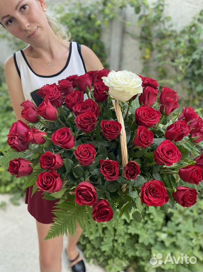 Роза 101, 51 Эквадор высота 40,50,60,70,80,90см