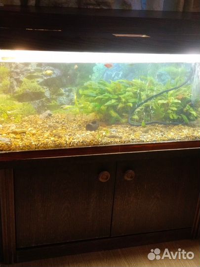 Аквариум с тумбой 160л и 28л