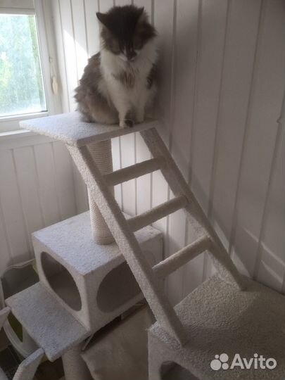 Игровой комплекс для котов