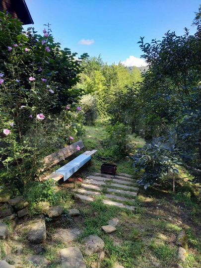 Дача 60 м² на участке 4,8 сот.