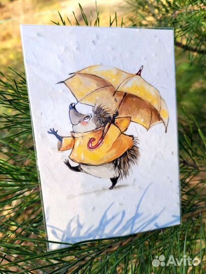 Живая открытка / открытка с семенами