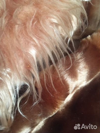 Мех искусственный новый 2 вида