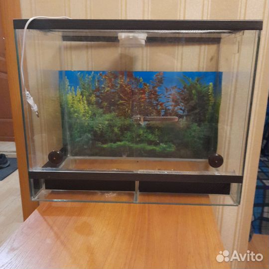 Террариум для эублефара бу