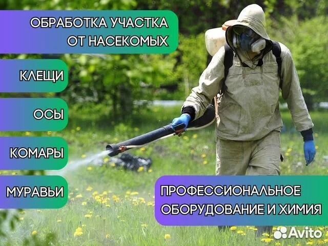 Обработка участков от ос клещей Лечение деревьев