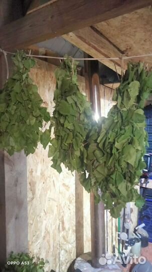 Веники для бани