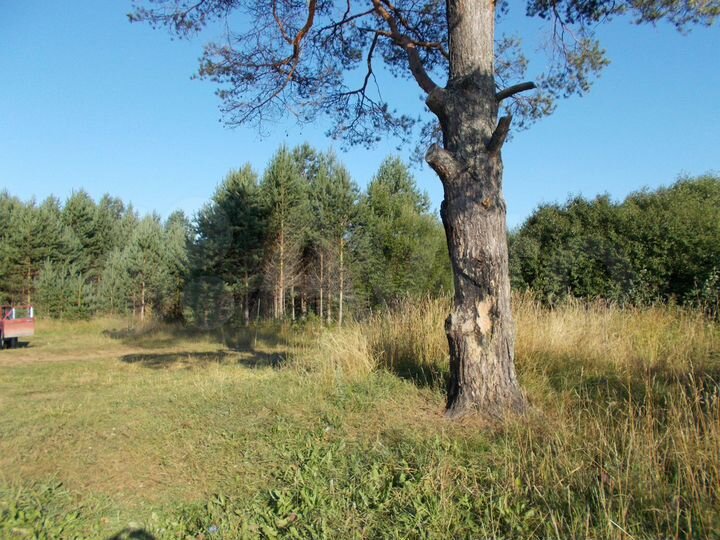 Участок 4 га (СНТ, ДНП)
