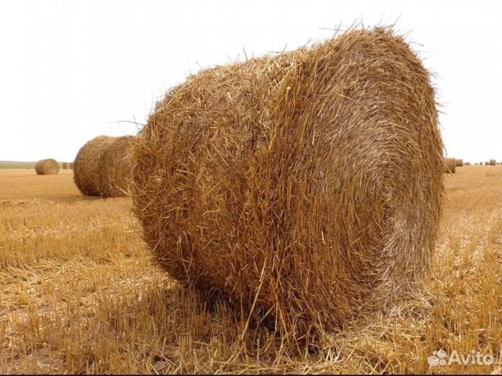 Солома в тюках