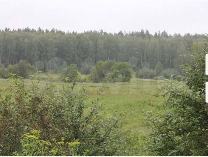 Участок 24 сот. (ИЖС)