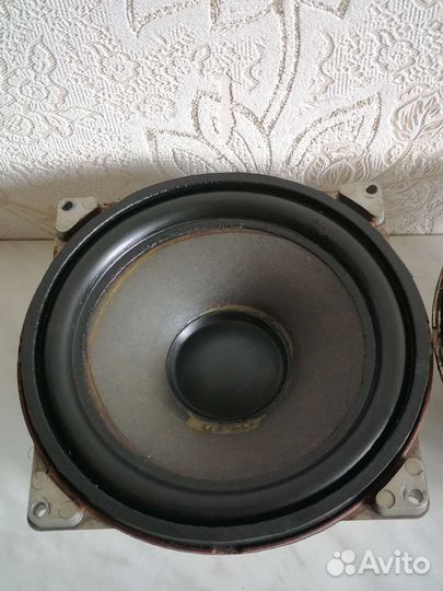 Динамики 25гд -26б