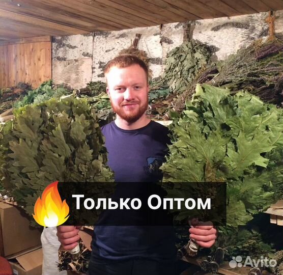 Веник пихтовый для бани Только оптом от 100шт