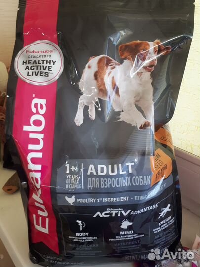 Корм для собак