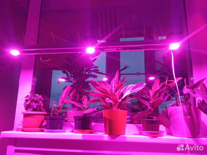 Фитолампа для растений полный спектр