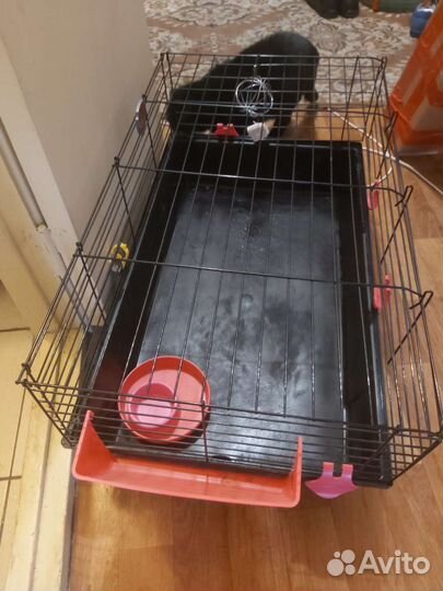 Клетка для кролика декоротивного большая
