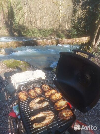 Газовый гриль weber q1200