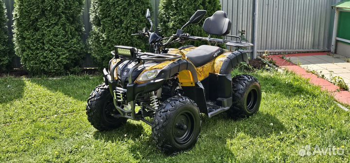 Квадроцикл motax grizlik 200