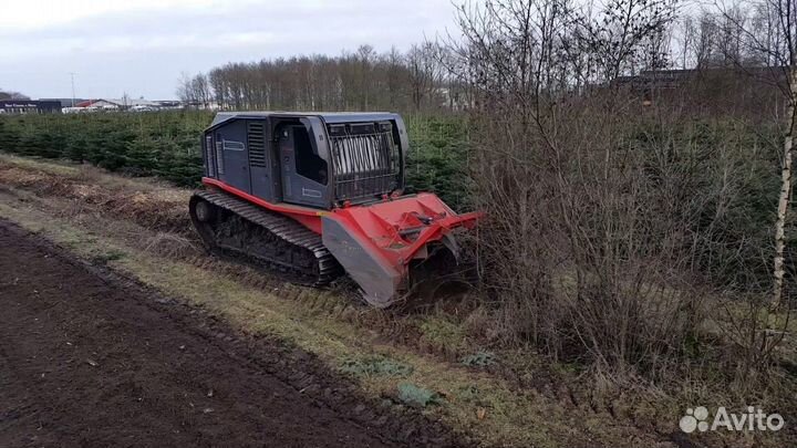 Валка, спил деревьев, удаление, мульчирование