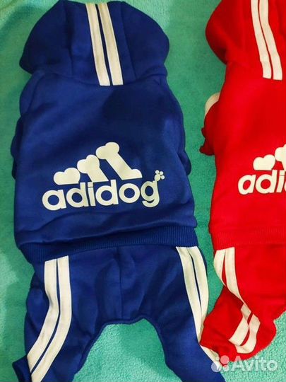 Одежда для собак мелких пород или кошек