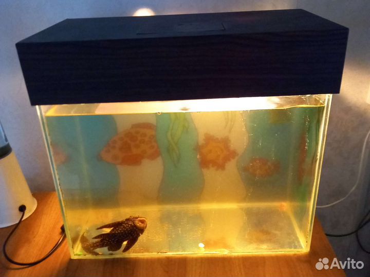 Аквариум