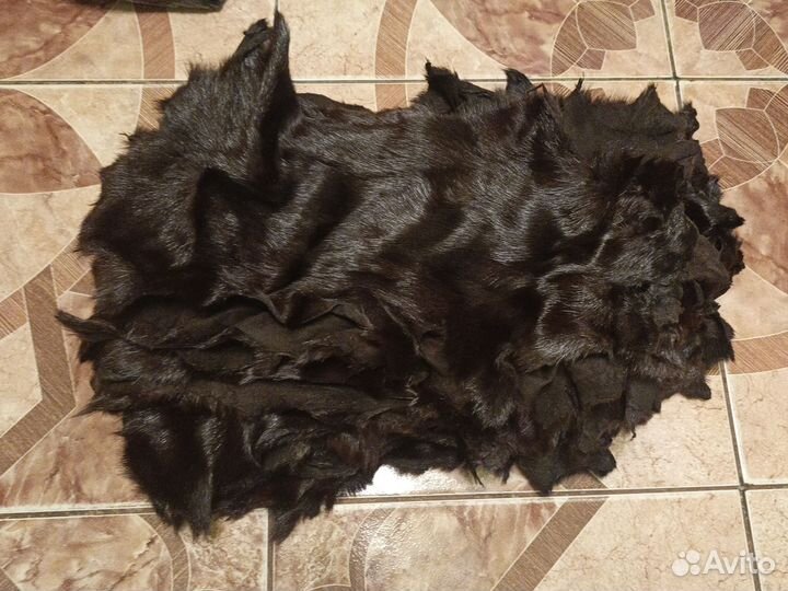 Шкура сурка