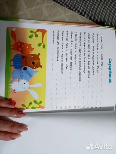 Датская книга