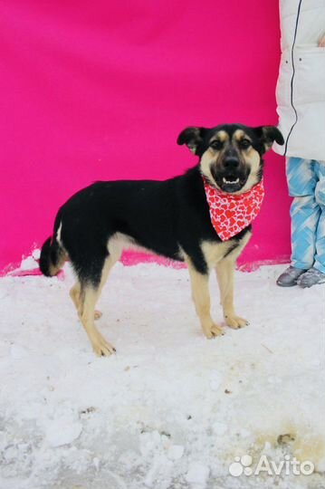 Рут ищет семью