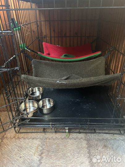 Полноценный дом для хорька, норки