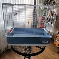 Клетка для птиц, Советск