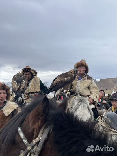 Туры в Монголию