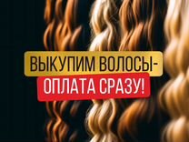 Скупка волос сдать продать волосы Грозный