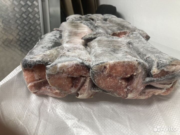 Горбуша свежемороженая