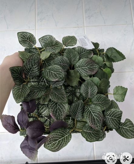 Искуственные цветы IKEA