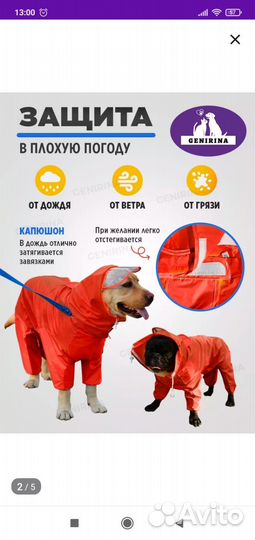 Дождевик для средней собаки