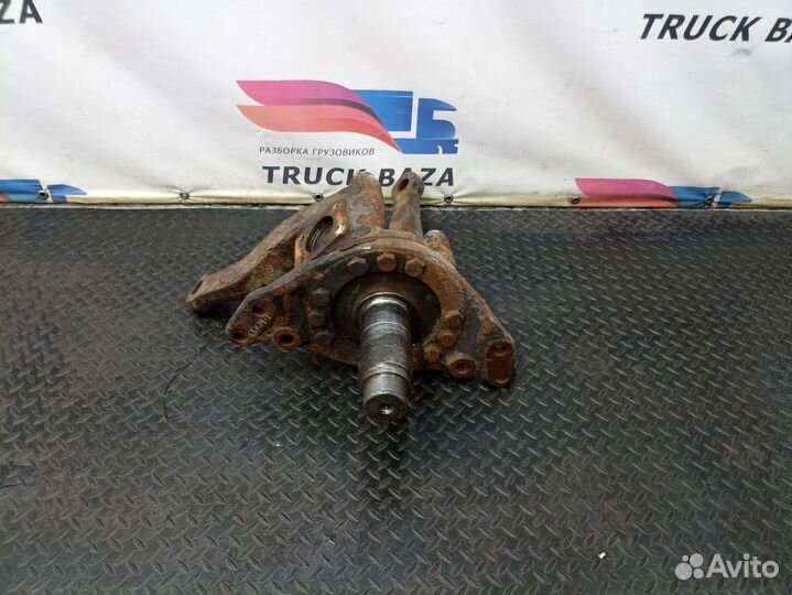 Кулак поворотный левый Iveco Stralis