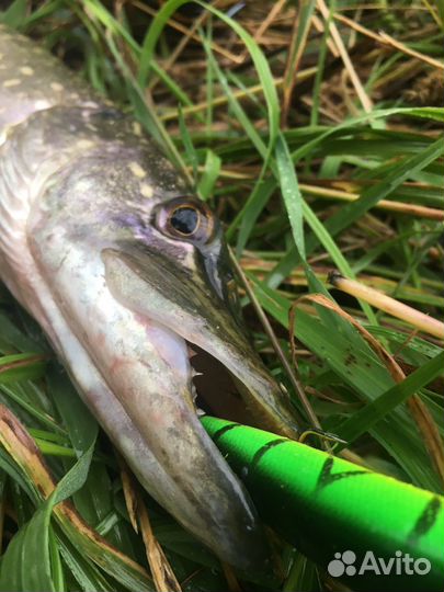 Поводок струна